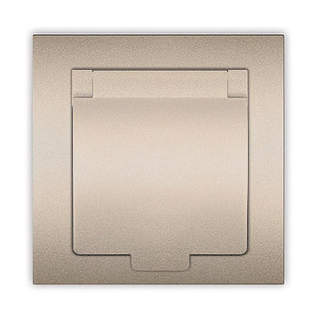 Розетка 1-м СП Афина 16А IP20 с заземл. с крышкой в сборе шампань Universal A0029-Br