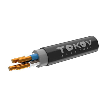 Кабель TOKOV ELECTRIC ППГнг(А)-HF 4х6 ОК (N) 0.66кВ (м) ТХМ00409121