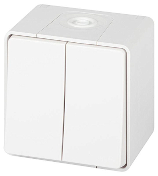 Переключатель Эксперт 11-1506-01 двойн. IP55 10АХ-250В ОУ бел. Эра Б0063295