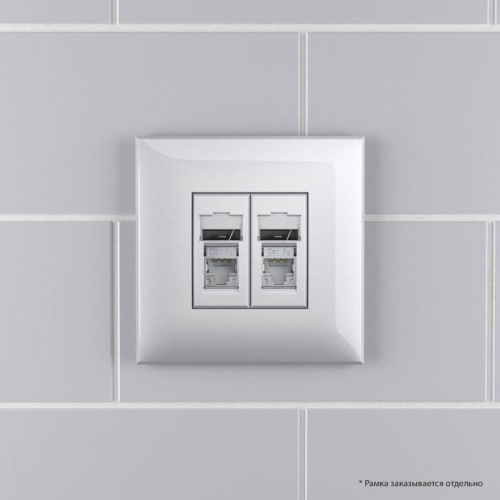 Розетка 2-м RJ-45 СП кат.5e экранированная Avanti "Закаленная сталь" DKC 4404364