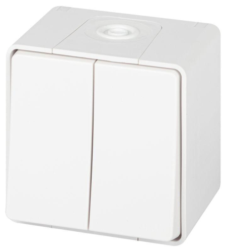 Переключатель Эксперт 11-1506-01 двойн. IP55 10АХ-250В ОУ бел. Эра Б0063295