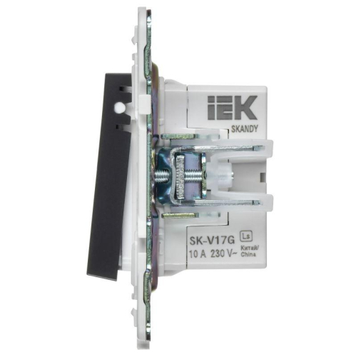 Кнопка звонка SKANDY 10А SK-V17G для отелей с индикацией графит IEK SK-V14-2-10-K53