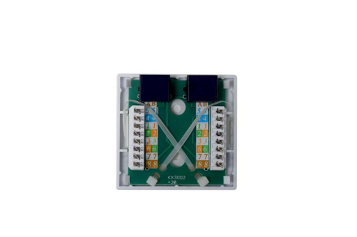 Розетка компьютерная 8P8C (RJ45) UTP кат.5E 2 порта TOKOV ELECTRIC TKE-SMB-8P8C-2P-UTP