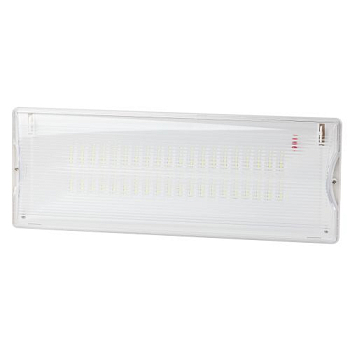 Светильник светодиодный DPA-301-0-65 IP65 40LED 3ч аварийный непостоянный Проектный Эра Б0044405