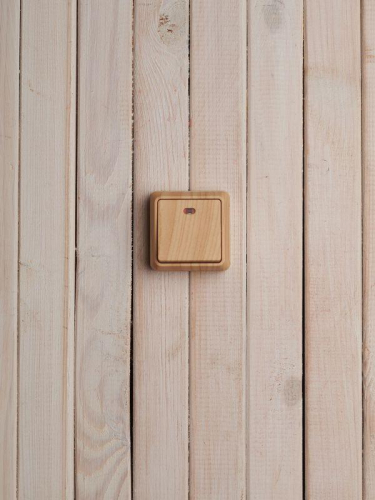 Выключатель 1-кл. ОП Октава 10А IP20 ВС20-1-1-ОС с индикацией сосна GENERICA EVO11-K03-10-DC