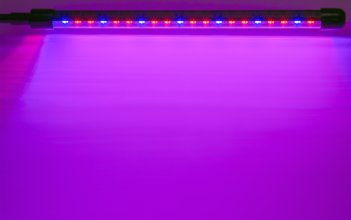 Светильник светодиодный 95 585 NDF-FITO-C01-02-20W-BL 20Вт IP40 на прищепке с таймером для растений красн./син. спектра Navigator 95585