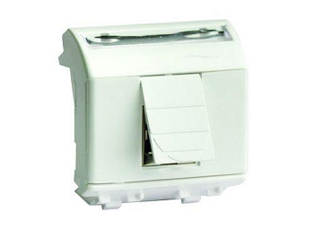 Розетка компьютерная СП 2мод. Brava RJ45 кат.5E сл. кость DKC 75642S