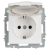 Розетка BRITE РСбш10-3-БрАБ 16А IP20 с заземл. защ. шторки с крышкой механизм арктич. бел. IEK BR-R16-16-K91 Розетка BRITE РСбш10-3-БрАБ 16А IP20 с заземл. защ. шторки с крышкой механизм арктич. бел. IEK BR-R16-16-K91