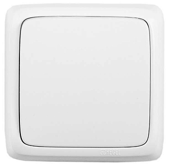 Выключатель 1-кл. ОП Альфа 16А IP20 250В с монтаж. пластиной бел. HEGEL ВА16-115