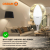 Лампа светодиодная LED Value B 12Вт 3000К тепл. бел. E14 960лм B матов. пластик 220-240В (замена 100Вт) OSRAM 4099854308659 Лампа светодиодная LED Value B 12Вт 3000К тепл. бел. E14 960лм B матов. пластик 220-240В (замена 100Вт) OSRAM 4099854308659