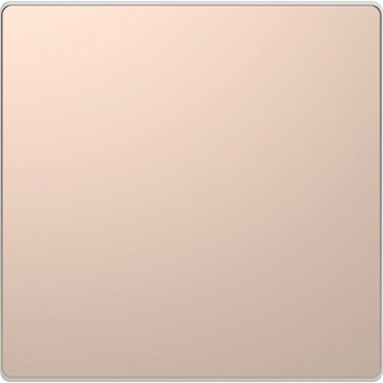 Заглушка Merten D-Life SD шампань SchE MTN4075-6051