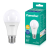 Лампа светодиодная LED25-A65/865/E27 25Вт грушевидная матовая 6500К холод. бел. E27 220В Camelion 13573 Лампа светодиодная LED25-A65/865/E27 25Вт грушевидная матовая 6500К холод. бел. E27 220В Camelion 13573
