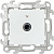 Розетка телевизионная одиночная TV СП Simon 24 IP20 механизм бел. Simon 2450477-030