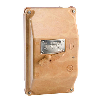 Выключатель автоматический 2п 40А 12Iн 10кА ВА21-29-240010 У2 400В AC IP54 КЭАЗ 100537