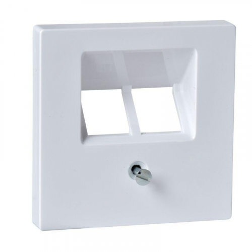 Плата Merten центральная телеком. мех. TF/DATA 2-я наклонная активно бел. SchE MTN296125