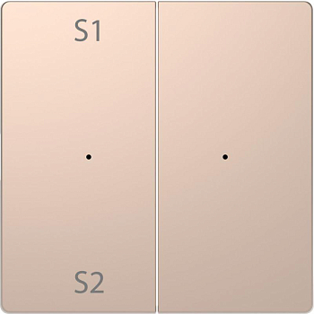 Клавиша двойная Merten D-Life PlusLink с S1/S2 пусто SD шампань SchE MTN5226-6051