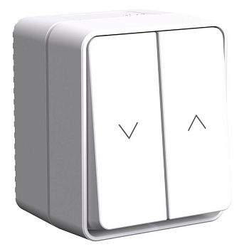 Выключатель для жалюзи 2-кл. ОП AtlasDesign PROFI 10А IP54 бел. SE ATN540119