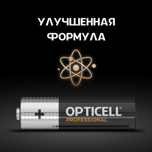Элемент питания алкалиновый AA/LR6 (блист. 12шт) Professional Opticell 5052005/6052005