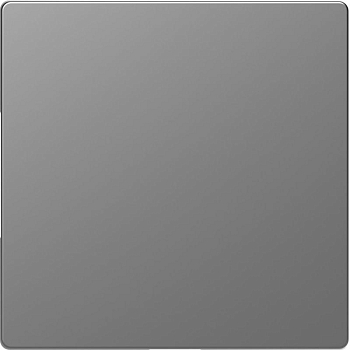 Заглушка Merten D-Life SD нерж. сталь SchE MTN4075-6036