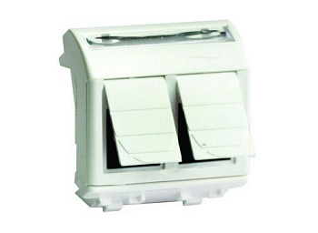 Розетка компьютерная СП 2мод. Brava RJ45 кат.5E сл. кость DKC 75643S