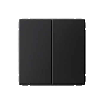 Переключатель 2-кл. ArtGallery 10AX быстрозажим. клем. механизм карбон SE GAL001065S